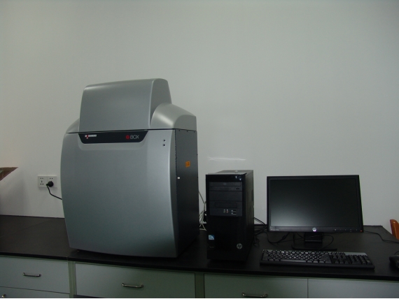 化学发光成像仪