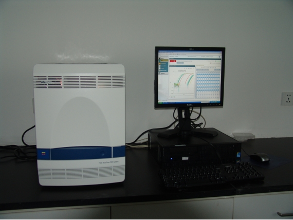 实时荧光定量PCR系统